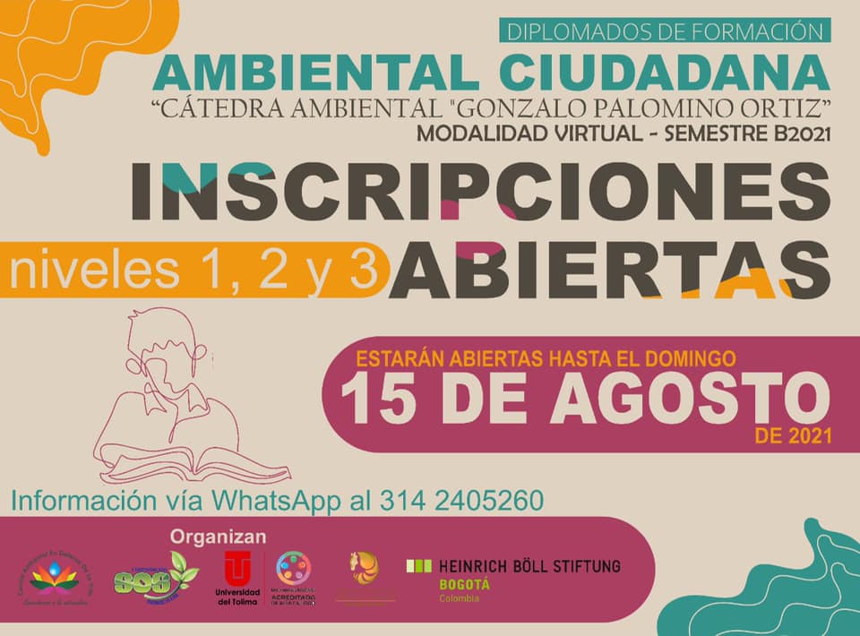 diplomados formación ambiental