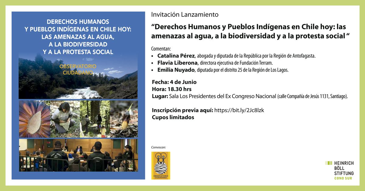 Derechos Humanos y Pueblos Indígenas en Chile: hoy las amenazas al agua, a la biodiversidad y a la protesta social