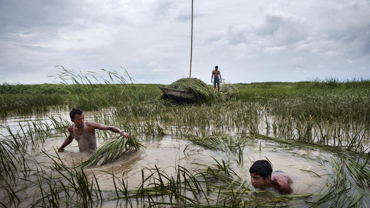 Environmental Migrants