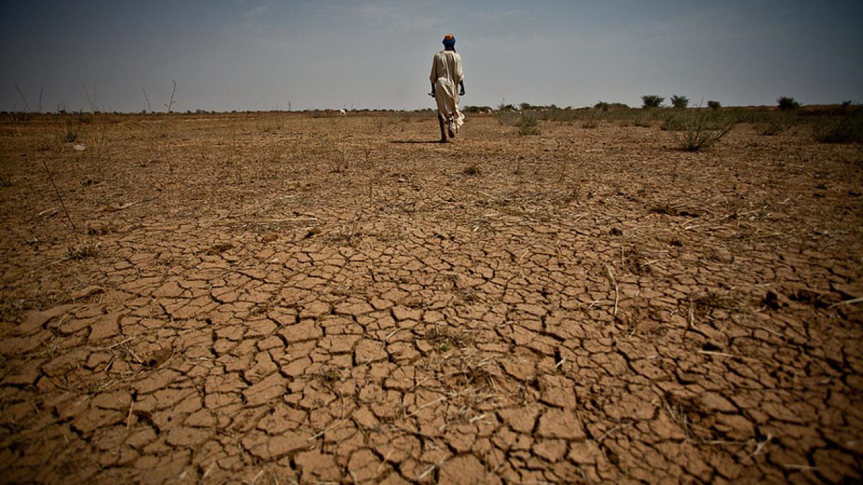 Sahel food crisis 2012: drought response in Mauritania