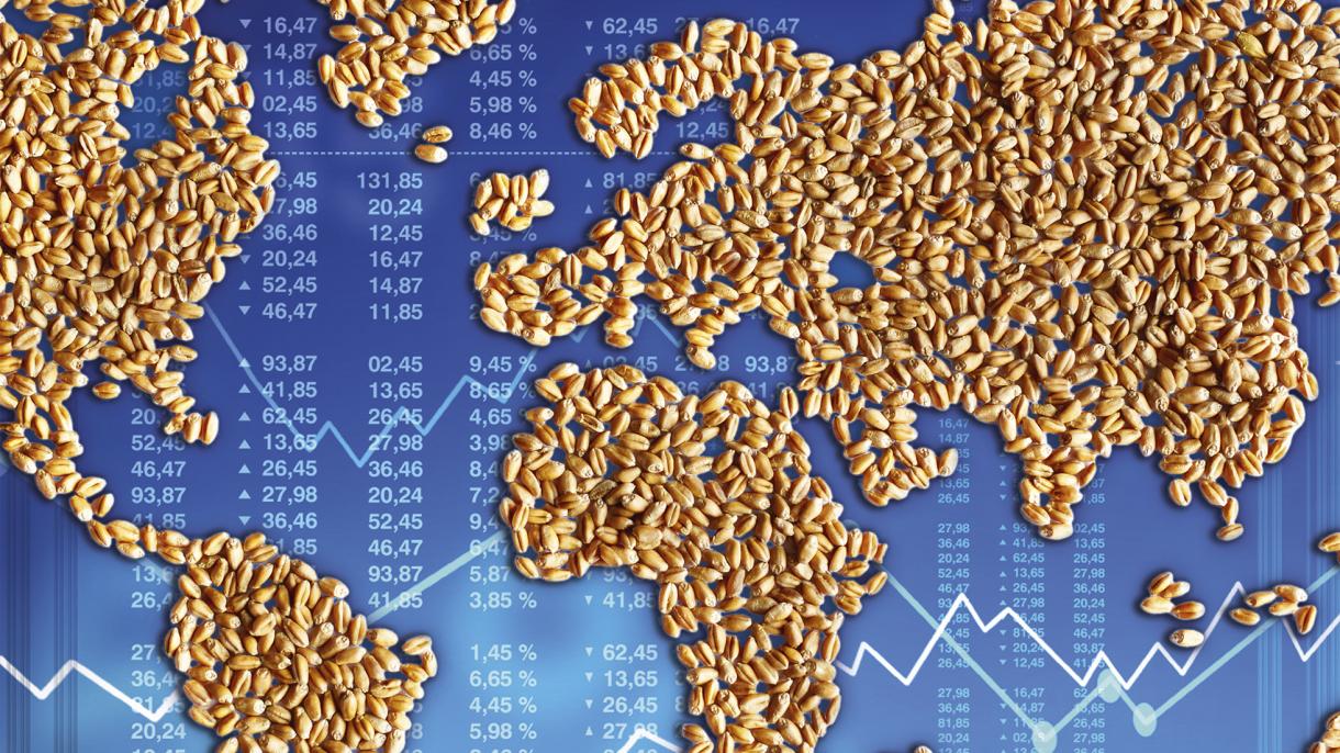 Bild vom Konzernatals