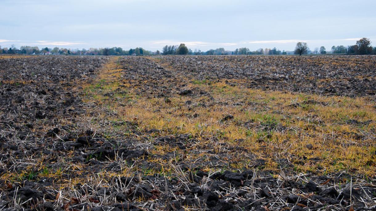 Anwendung von Glyphosat