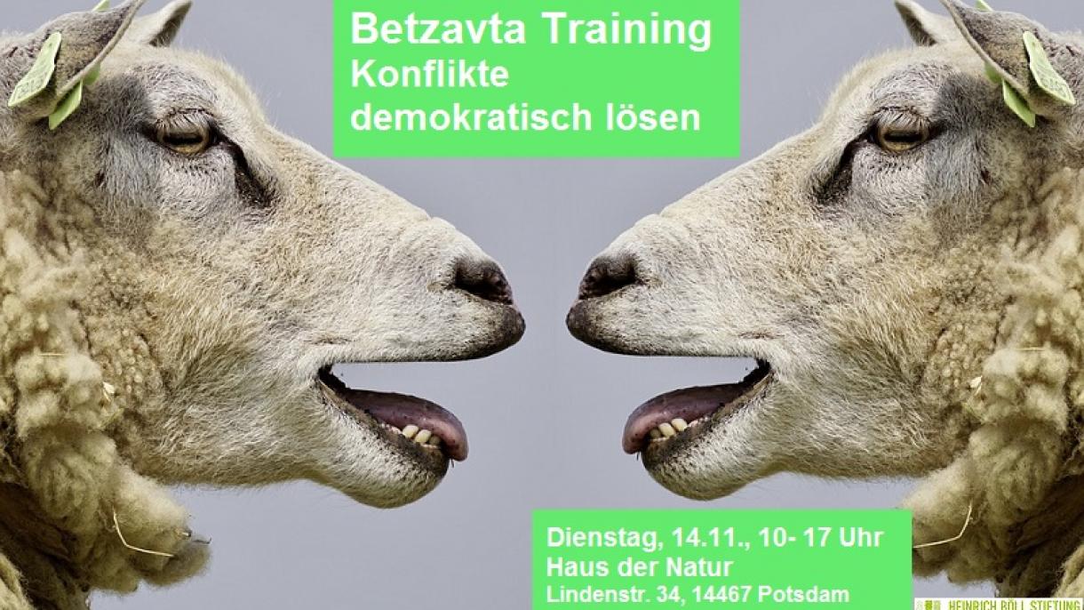 Betzavta Training