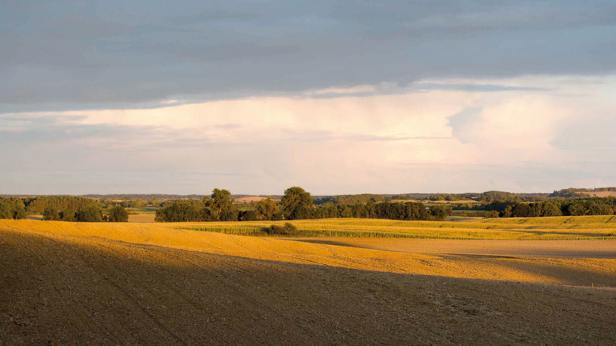 Dieses Bild stammt aus dem Trailer des Filmes: "Landstück"